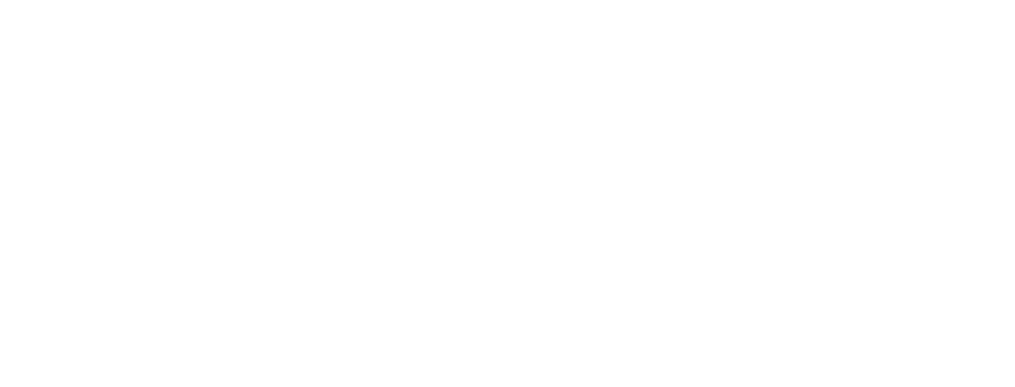 Logo Lideramos Honduras
